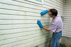 Trusted Toledo, IL Siding Experts